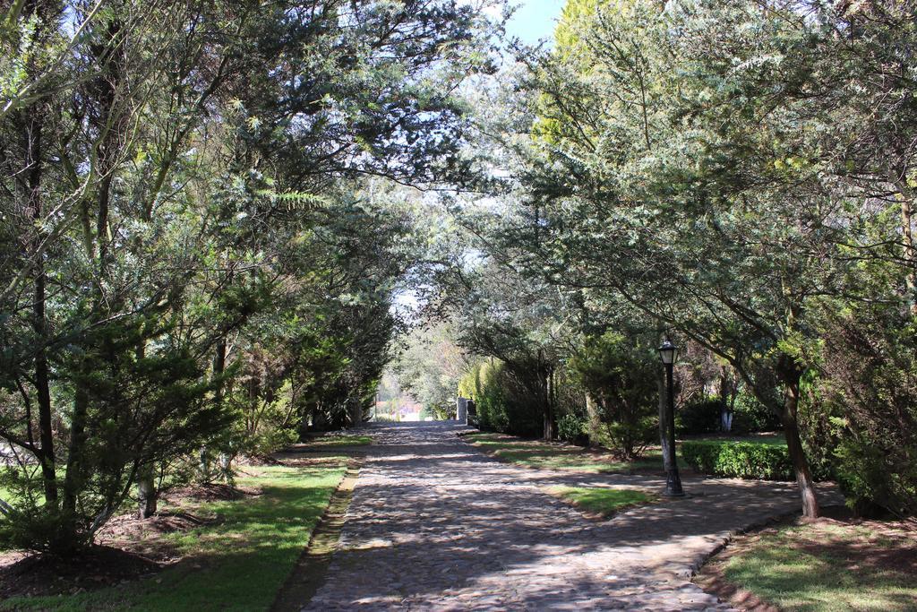 מלון הואסקה דה אוקמפו Rancho San Antonio מראה חיצוני תמונה