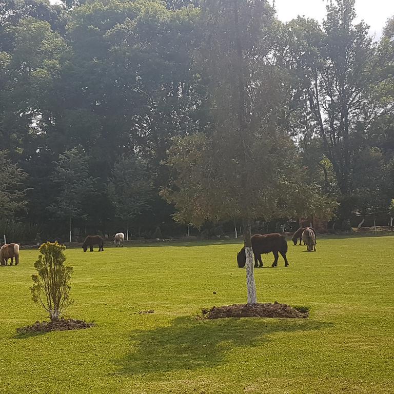 מלון הואסקה דה אוקמפו Rancho San Antonio מראה חיצוני תמונה
