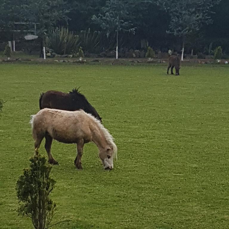 מלון הואסקה דה אוקמפו Rancho San Antonio מראה חיצוני תמונה