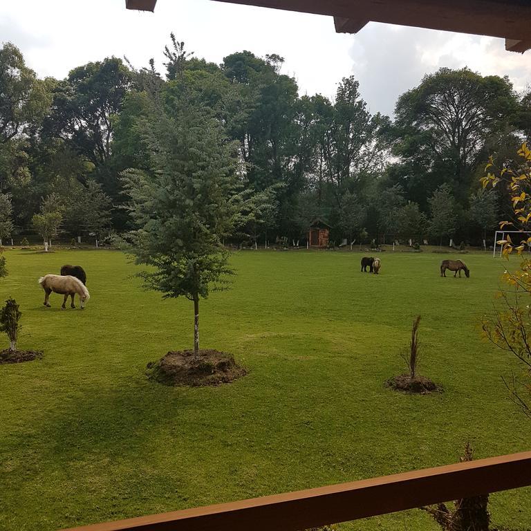 מלון הואסקה דה אוקמפו Rancho San Antonio מראה חיצוני תמונה