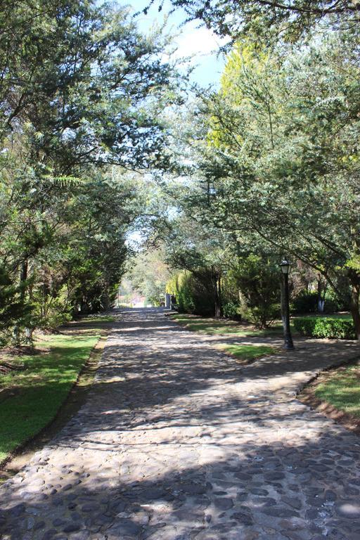 מלון הואסקה דה אוקמפו Rancho San Antonio מראה חיצוני תמונה